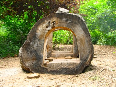 A hole punched through a gigantic log at Kauffman Legacy Park; a private, yet free public park in Kansas City.